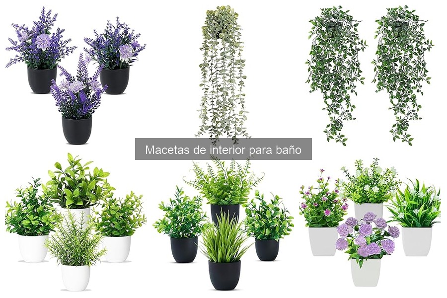 Alternativas creativas a macetas comunes para tu baño