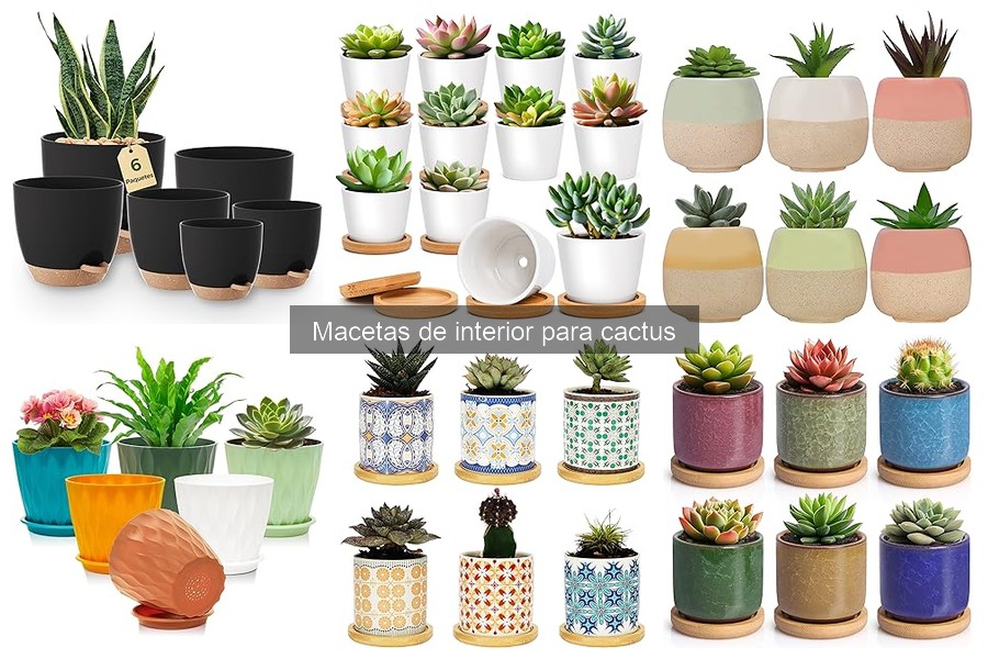Alternativas creativas a macetas para cactus en casa