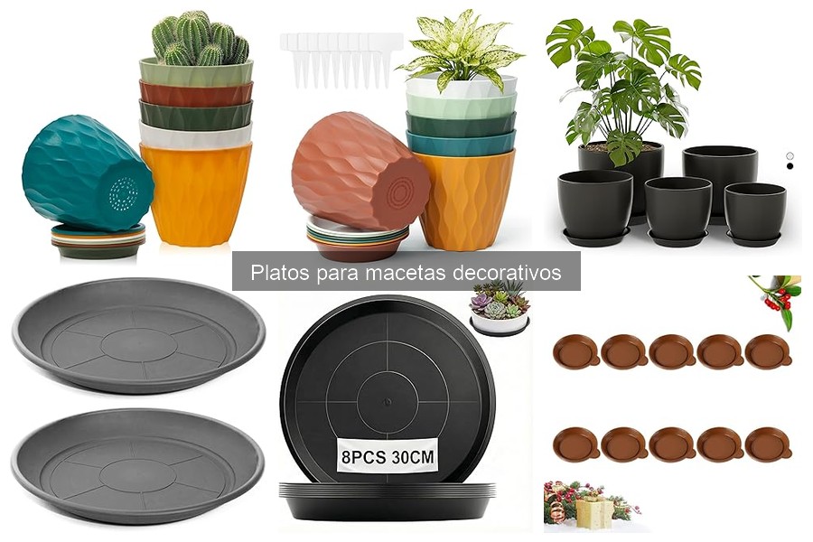 Alternativas creativas a platos para macetas decorativos