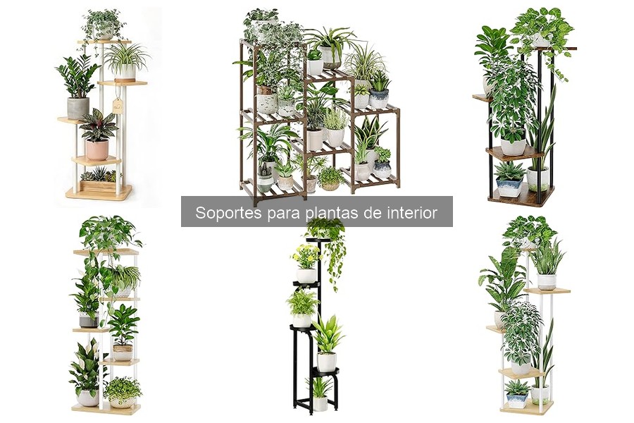 Alternativas Creativas a Soportes para Plantas de Interior