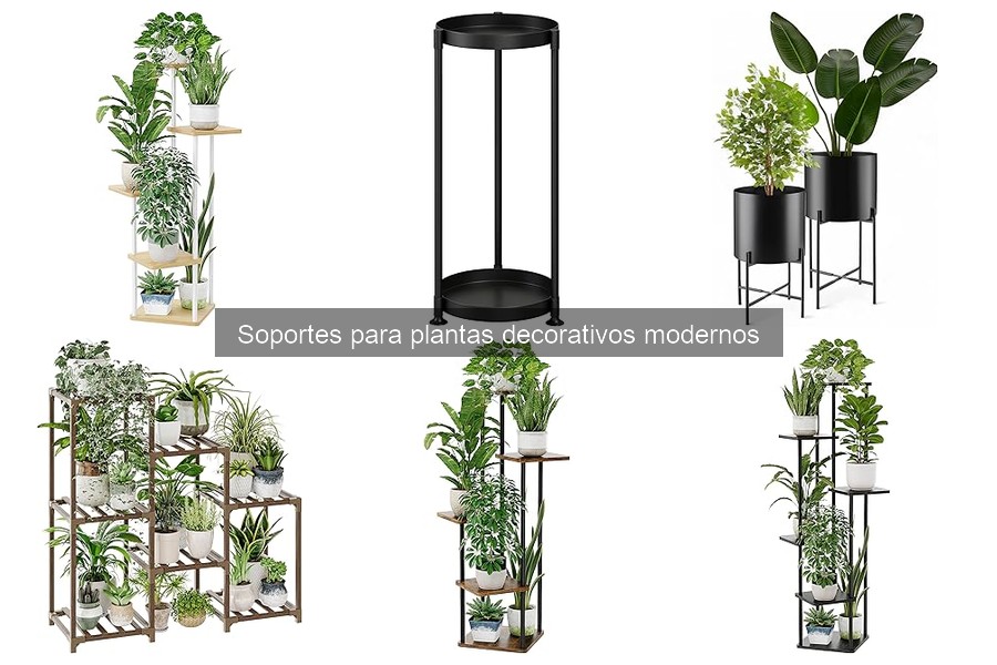 Alternativas creativas a soportes para plantas decorativos modernos