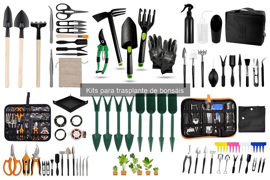 Alternativas económicas a kits de trasplante de bonsáis