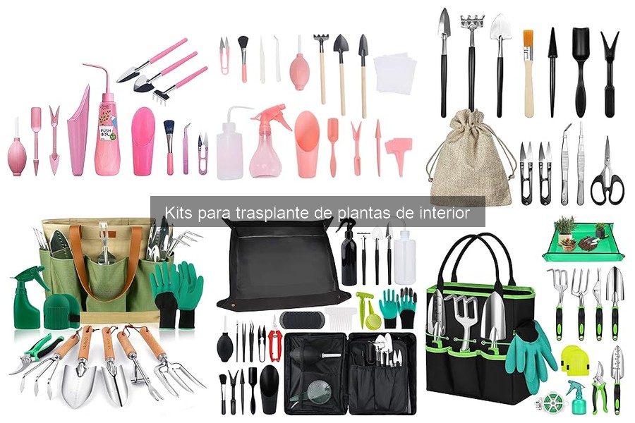 Alternativas económicas a kits para trasplante de plantas