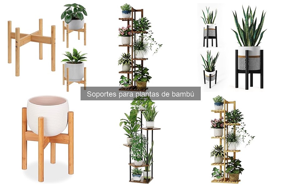 Alternativas efectivas a los soportes para plantas de bambú