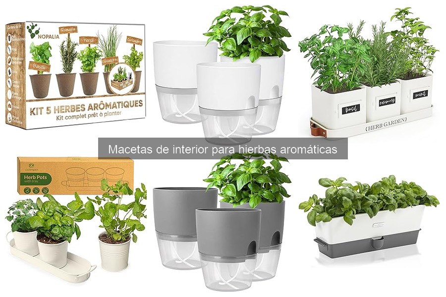 Alternativas innovadoras a macetas tradicionales para hierbas