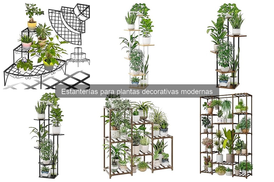 Alternativas originales a estanterías para plantas decorativas
