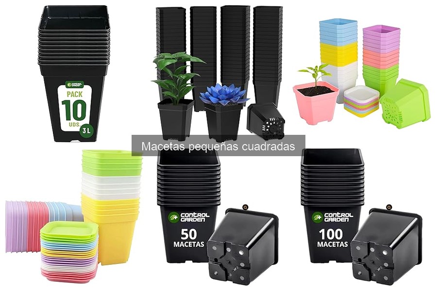Alternativas prácticas a macetas pequeñas cuadradas