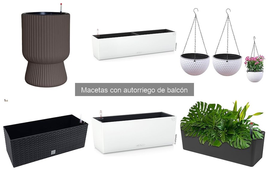 Análisis de precios de macetas con autorriego para balcón