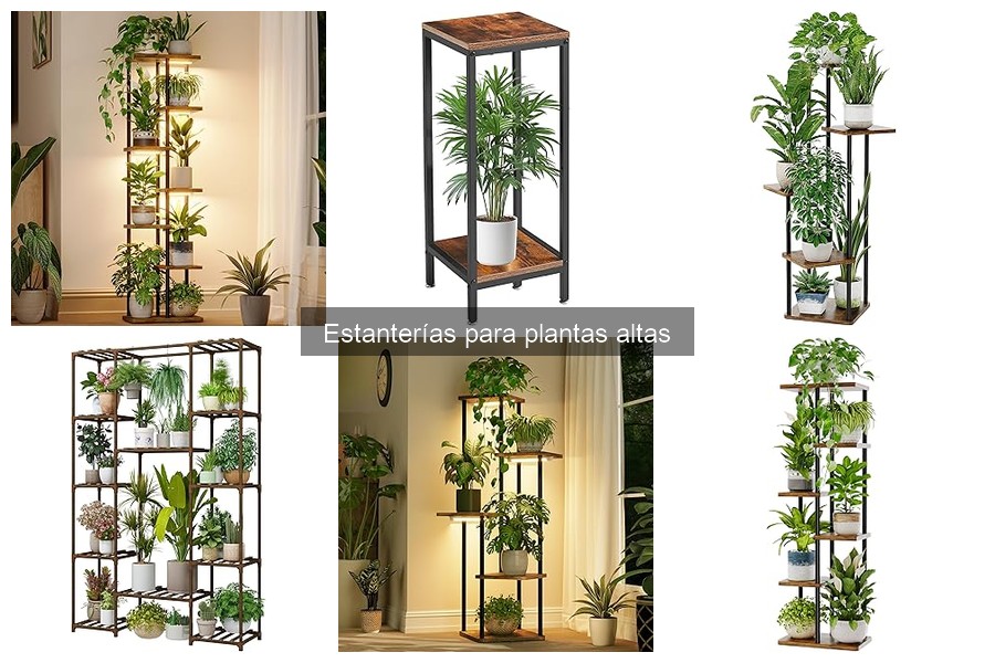 Beneficios de las estanterías para plantas altas en tu hogar