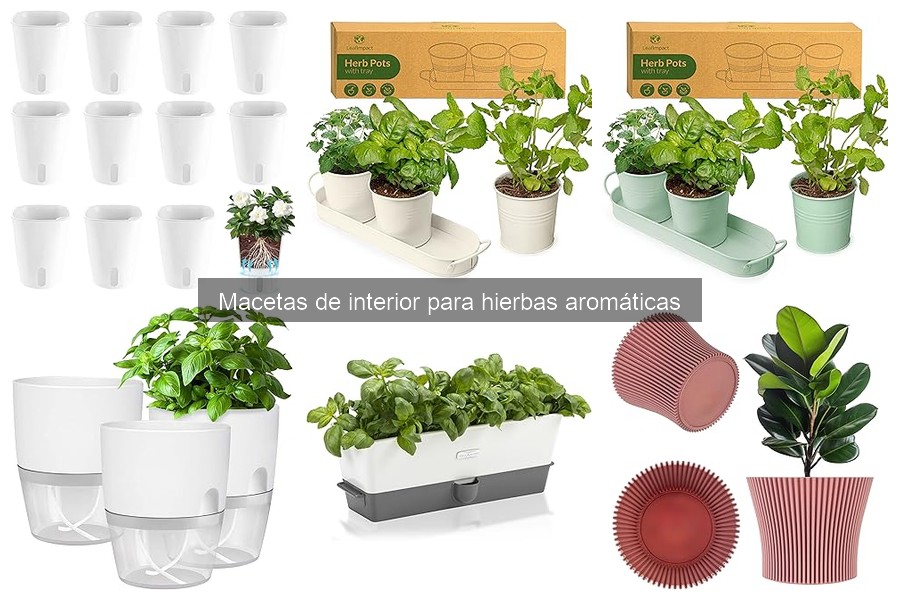 Beneficios de las macetas autorriego para hierbas aromáticas