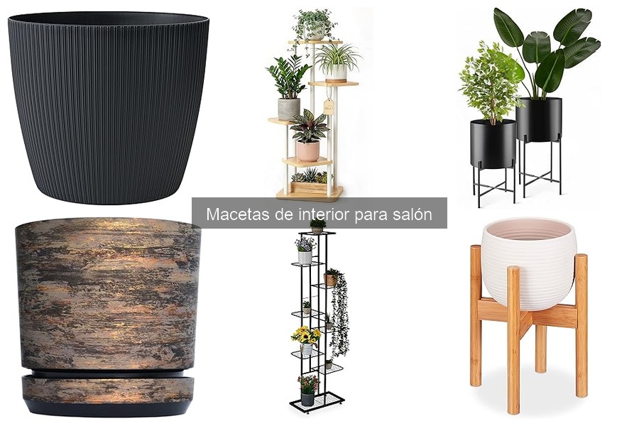 Beneficios de las Macetas de Interior en el Salón