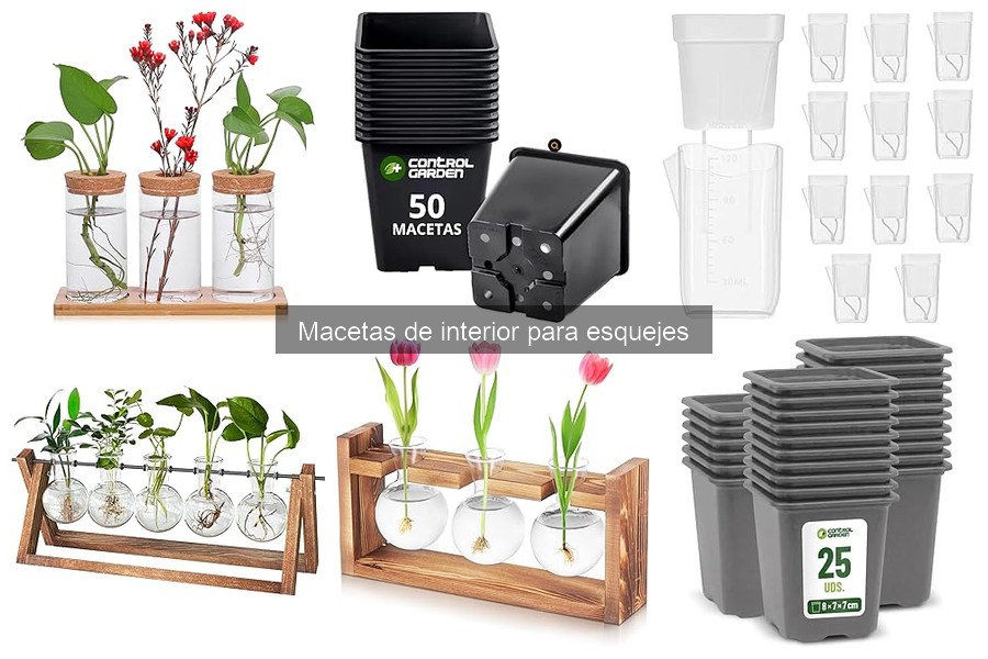 Beneficios de las Macetas de Interior para Esquejes