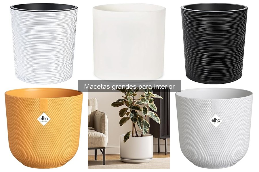 Beneficios de las macetas grandes auto-riego para interior