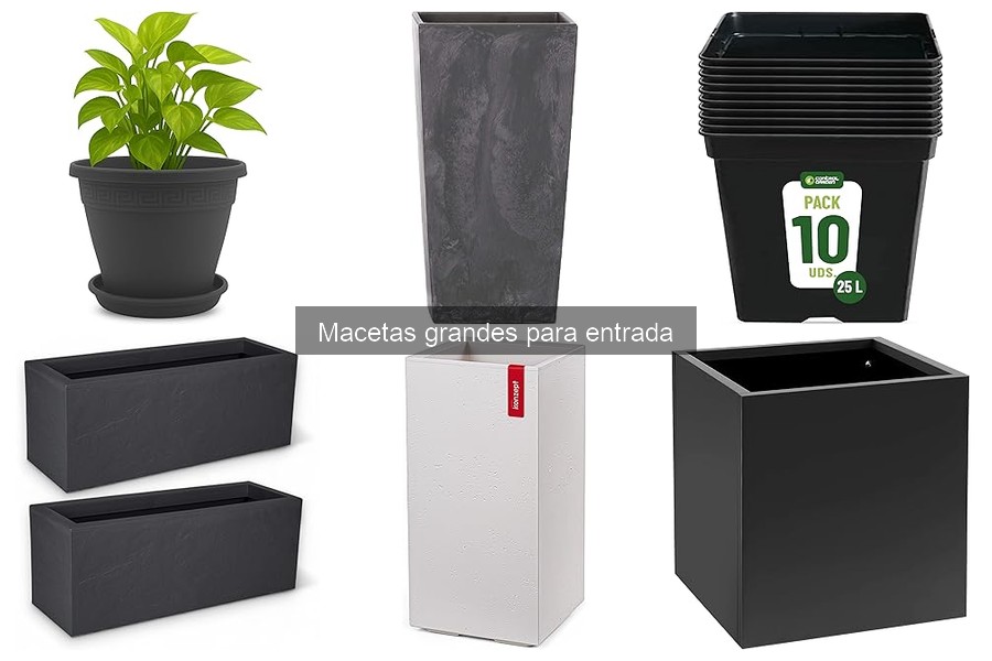 Beneficios de las macetas grandes para entradas decorativas