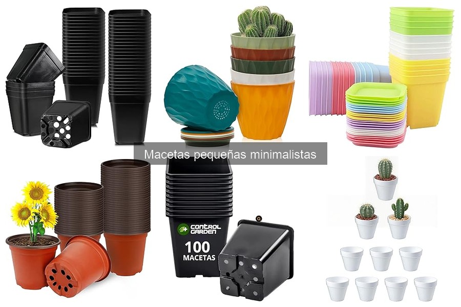 Beneficios de las Macetas Pequeñas para Interiores