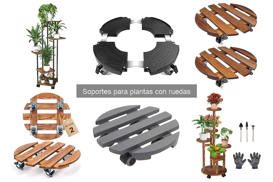 Beneficios de los Soportes para Plantas con Ruedas