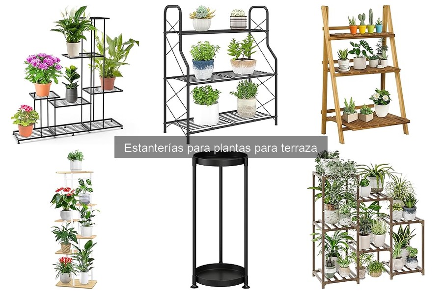 Beneficios de usar estanterías para plantas en exteriores