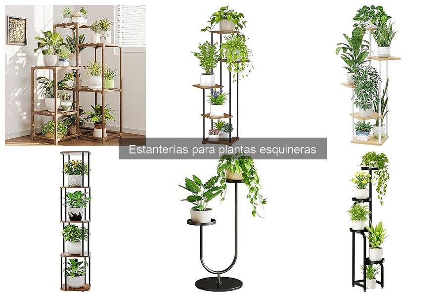 Beneficios de usar estanterías para plantas esquineras