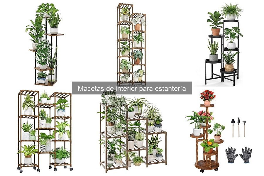 Beneficios de usar macetas de interior en estanterías