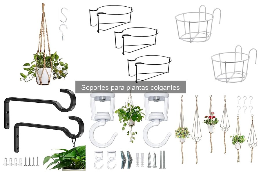 Beneficios de usar soportes para plantas colgantes en casa