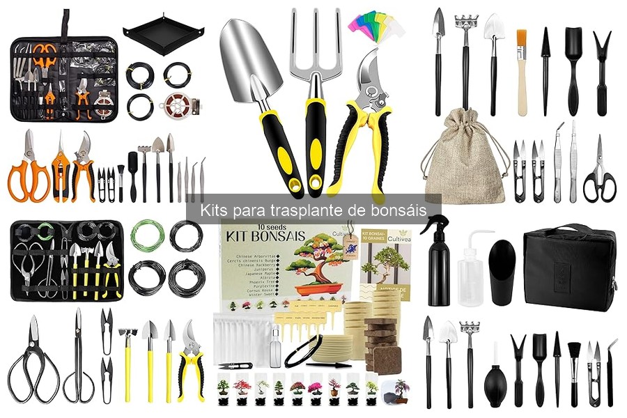Beneficios de Usar un Kit de Trasplante de Bonsáis