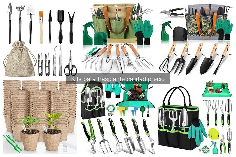 Beneficios de usar un kit de trasplante de plantas