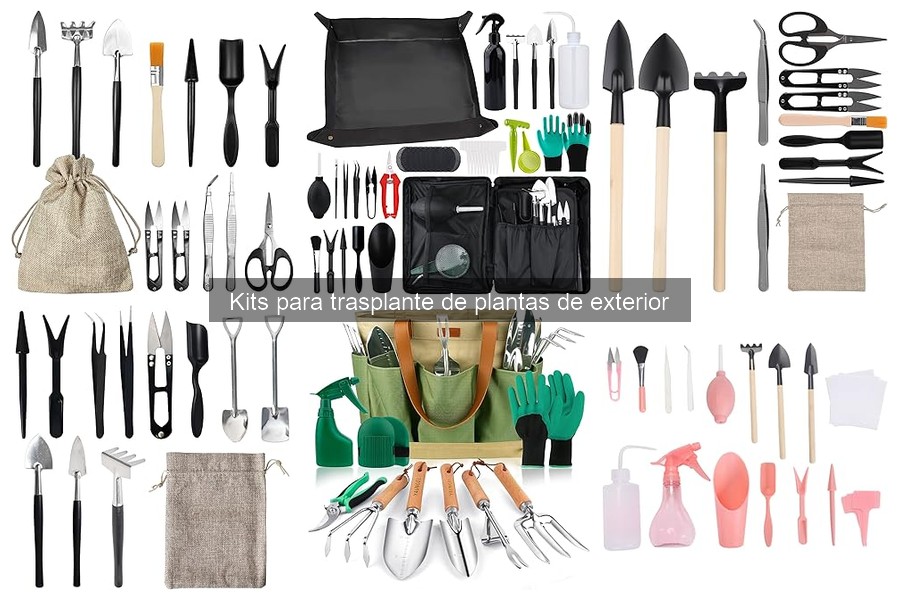 Beneficios de usar un kit de trasplante para plantas de exterior