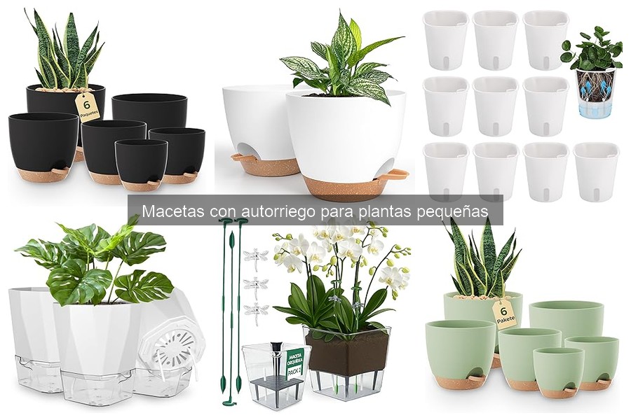 Características clave para elegir macetas con autorriego