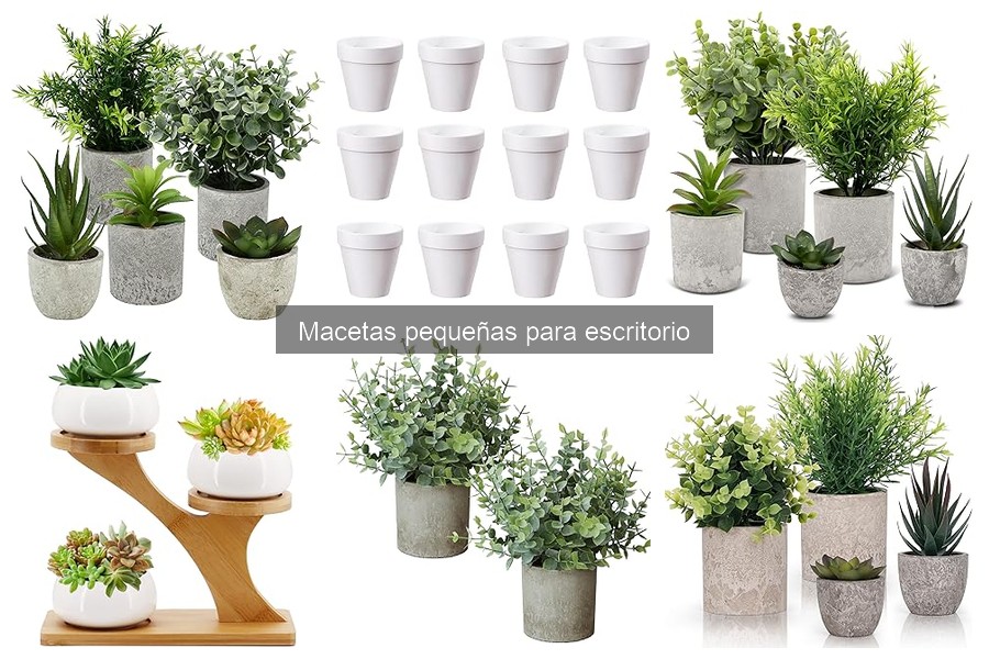 Características de Macetas Pequeñas para Escritorio