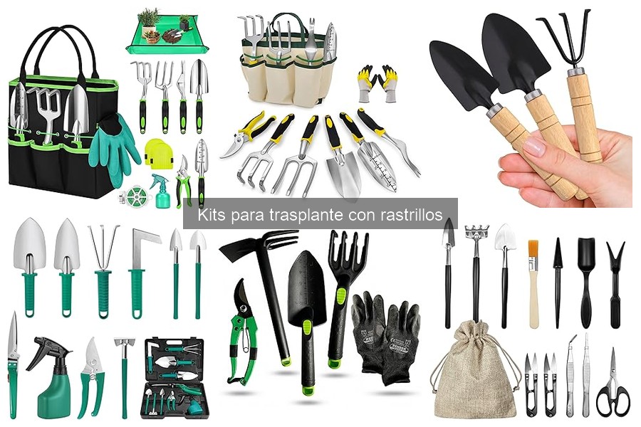 Características de un buen kit para trasplante de plantas