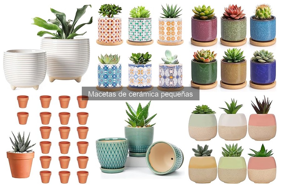 Características y Ventajas de las Macetas de Cerámica Pequeñas