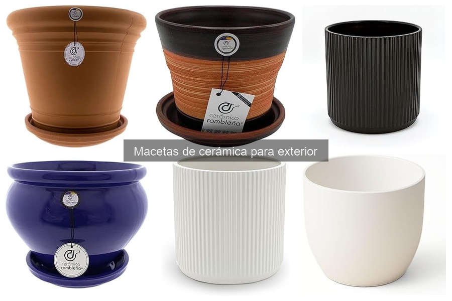Colocación Ideal de Macetas de Cerámica para Exterior