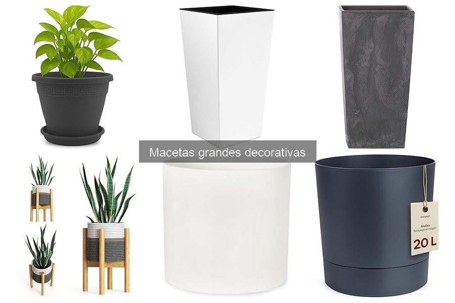 Combinaciones de Plantas para Macetas Grandes Decorativas