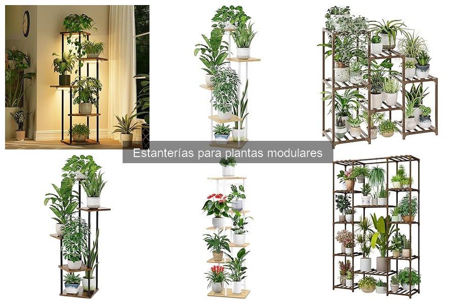 Cómo adaptar estanterías modulares para tus plantas