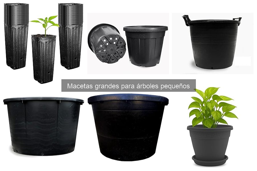 Cómo cambiar árboles pequeños de maceta grande fácilmente