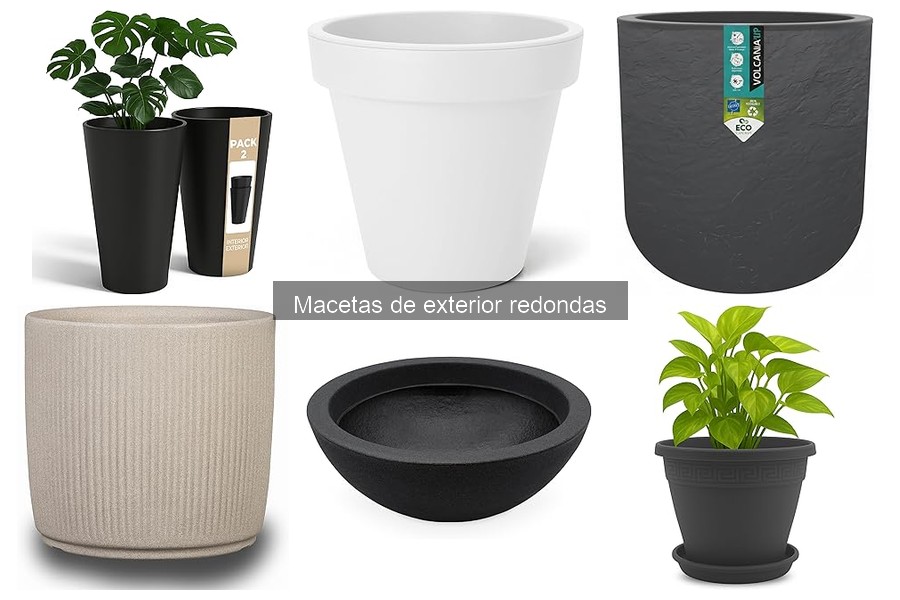 Cómo cambiar la maceta redonda sin dañar la planta