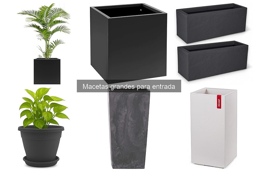 Cómo combinar macetas grandes en la entrada decorativa