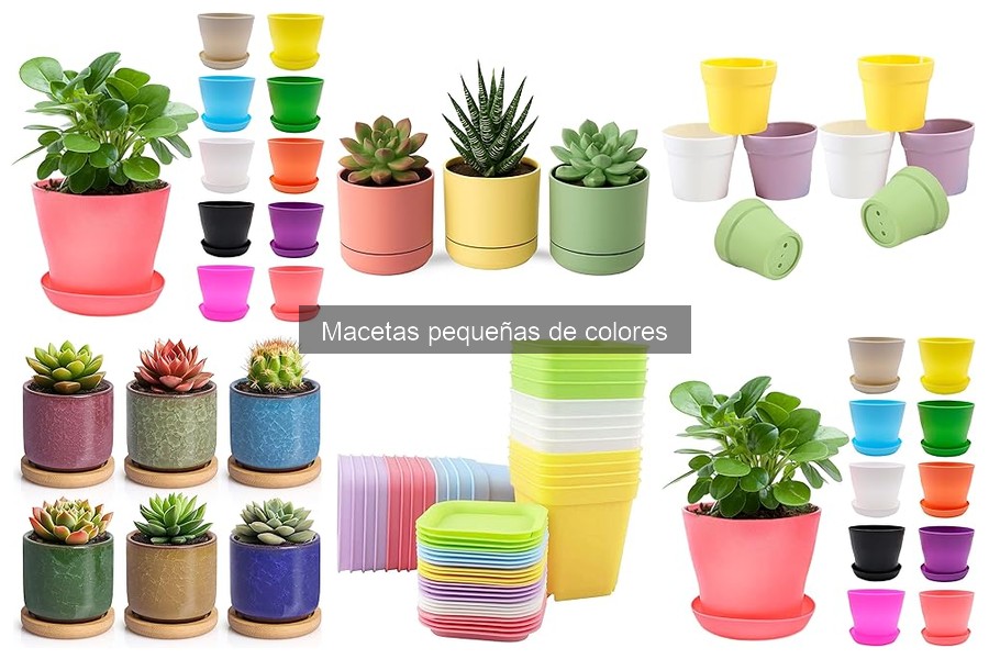 Cómo combinar macetas pequeñas de colores con plantas