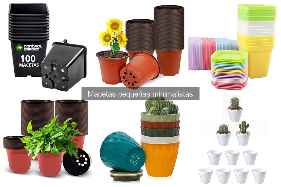 Cómo Combinar Macetas Pequeñas Minimalistas con Tu Decoración