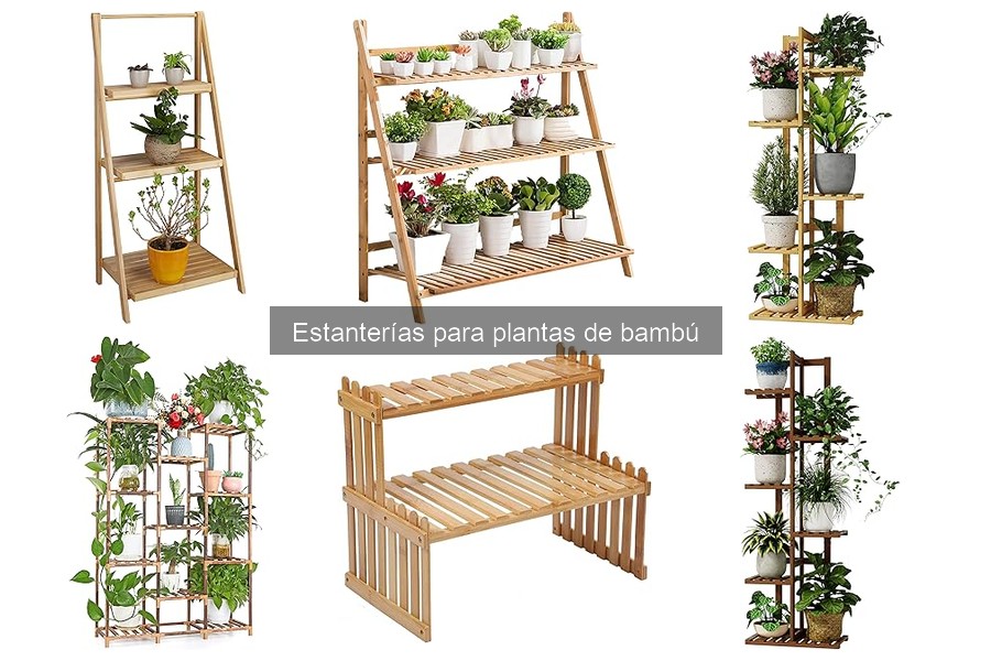 Cómo cuidar estanterías de bambú: limpieza y mantenimiento