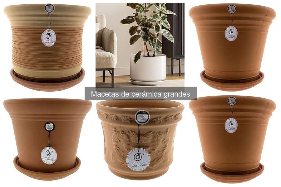 Cómo cuidar macetas de cerámica grandes: limpieza y riego