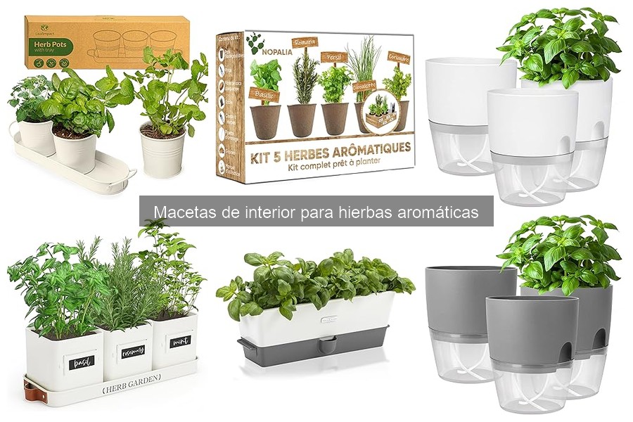 Cómo cuidar macetas de interior para hierbas aromáticas