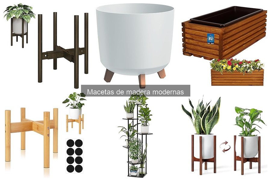 Cómo cuidar macetas de madera modernas de forma efectiva