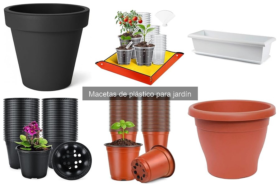 Cómo Cuidar Macetas de Plástico: Mantenimiento Esencial