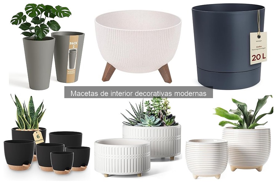 Cómo cuidar macetas decorativas modernas de interior