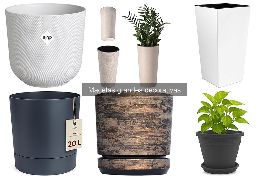 Cómo cuidar macetas grandes decorativas: guía completa