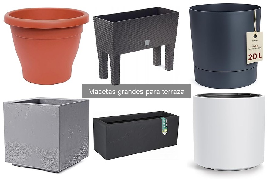 Cómo cuidar macetas grandes en terrazas: consejos útiles