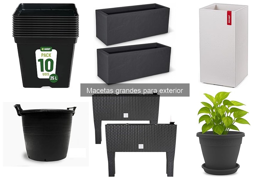 Cómo cuidar macetas grandes para exterior correctamente