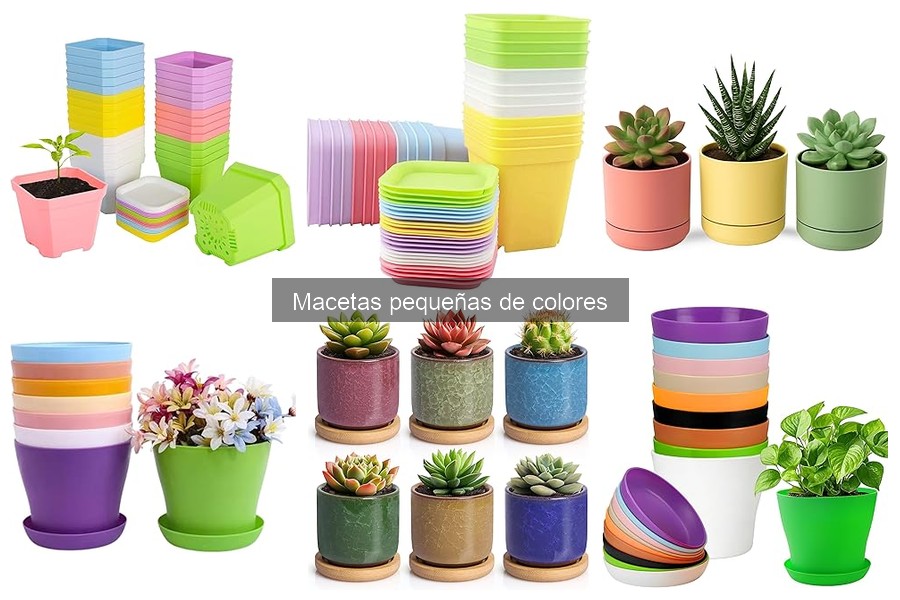 Cómo cuidar macetas pequeñas de colores: guías y consejos