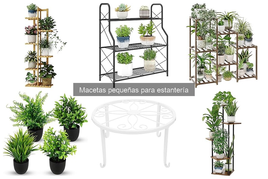 Cómo cuidar macetas pequeñas en estanterías: consejos prácticos